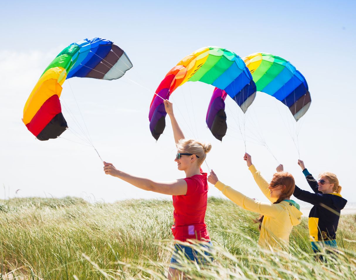 Symphony Kites